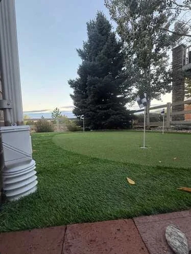 Low-angle view of a backyard putting green and flag with mature evergreen trees beyond.